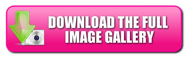 Download This Gallery!